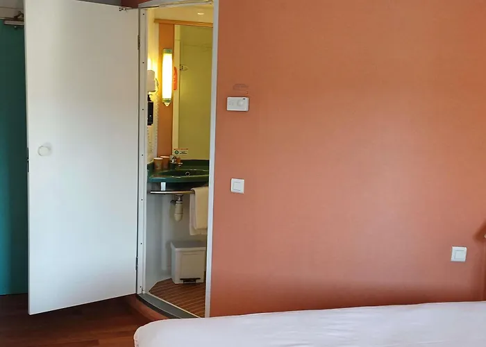 Ibis